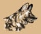 African Wild Dog Portrait