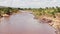 African Wildlife Aerial Shot of a Group of Hippos on the Masai Mara River Banks, Drone View of Beaut