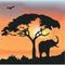 African Wildlife Background