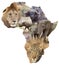 African wildlife background