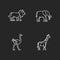 African wildlife chalk white icons set on black background