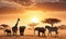 African Wildlife at Golden Hour