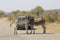 African Wildlife - Zebra - The Kruger National Park