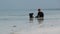 African Woman Collects Seafood into Bucket Sitting in Water at Ocean. Zanzibar