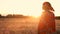 African woman farmer in traditional clothes standing in a field of crops in Africa at sunset or sunrise