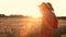 African woman farmer in traditional clothes standing in a field of crops, wheat or barley, in Africa at sunset or sunrise