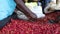 African woman is picking fresh arabica coffee beans at washing station