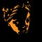 African woman portrait silhouette in backlight. Illustration