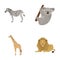African zebra, animal koala, giraffe, wild predator, lion. Wild animals set collection icons in cartoon style vector