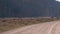 African Zebras Follow Each Other Through The Dusty Ground In The Reserve