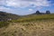 Afro-alpine grassland in Ethiopian Highlands near Lalibela