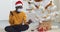 Afro american guy wears hat like Santa Claus and medical protective mask sits near Christmas tree uses laptop computer