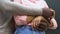 Afro-american man embracing Caucasian woman, interracial marriage, hands closeup