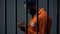 Afro-american prisoner using phone in cell, corruption in prisons, prohibition