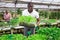 Afro man checking seedlings in garden center