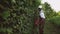 Afroamerican gargener cutting hedge.