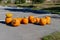 Aftermath of Halloween. Discarded pumpkins on ground during Halloween season