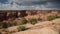 Afternoon in Canyon de Chelly