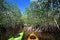 Afternoon kayaking on Nine Mile Pond in Everglades National Park, Florida.