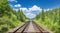 In the afternoon of a summer day, forest trees line a railway.