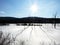 Afternoon sun shines in wetlands on Schug Trail