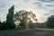 Afternoon sun and sky at Avoyelles Parish farm