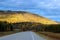 AFTERNOON SUNLIGHT ON YELLOW FALL FORREST HILLSIDE AND ROAD