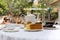 Afternoon tea with cup of tea and teapot on table with cake