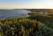 afternoon view of wildflowers with merewether beach in the background at newcastle