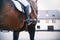 Against the background of the stable, a rider in black boots with spurs rides a Bay sports racehorse. Stirrup