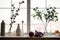 Against the background of the window on the windowsill there are vases with flowers, against the background of flowers a knitted
