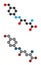 Agaritine mushroom toxin molecule