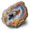 Agate showcasing its intricate patterns and earthy tones, elegantly displayed on a white background