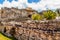 Agava plant on the old ruined wall with ancient Mayan temple in