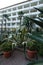 Agave, aloe, cacti and palm trees in the foreground of the hotel