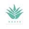 Agave cactus icon