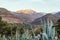 Agave growing in Atlas mountains, Marrakech, Morocco