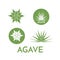 Agave plant green flower logo colorful vector illustration