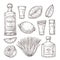 Agave tequila sketch. Vintage glass shot, bar ingredients and plant. Isolated drawing alcohol bottle, salt lemon or lime