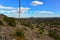 Agave, yucca, cacti and desert plants in a mountain valley landscape in New Mexico