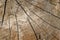 Aged cracked wood surface texture in good condition