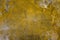 Aged  dirty bright yellow concrete wall with cracks, scratches, peeling gray and white paint and dark mold stains. rough surface