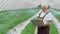 Aged farmer using laptop for controlling hologram on field