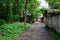 Aged farmhouse along unpaved countryroad in verdant summer