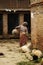 Aged female walking with an old rusty jug in an Asian country with goats sitting on the ground