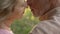 Aged husband and wife kissing closeup, love feeling, married couple togetherness