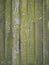 An aged and mouldy wooden fence panel