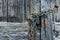 Aged rusty chain with lock pad on old ancient wooden door