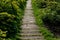 Aged shabby planks on backyard footpath landscaped.