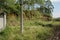 Aged telegraph pole in weedy field near wall